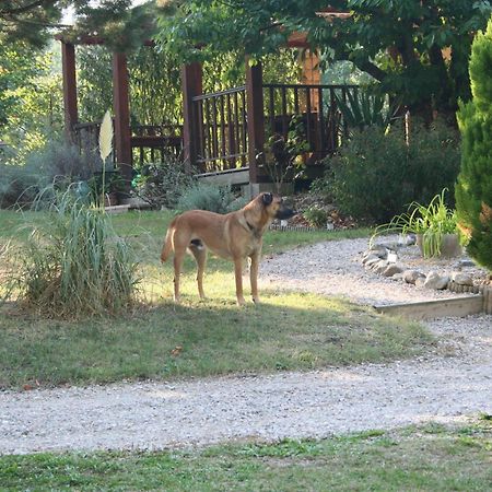 Les Eaux Tranquilles Bed and Breakfast Belvianes-et-Cavirac Buitenkant foto