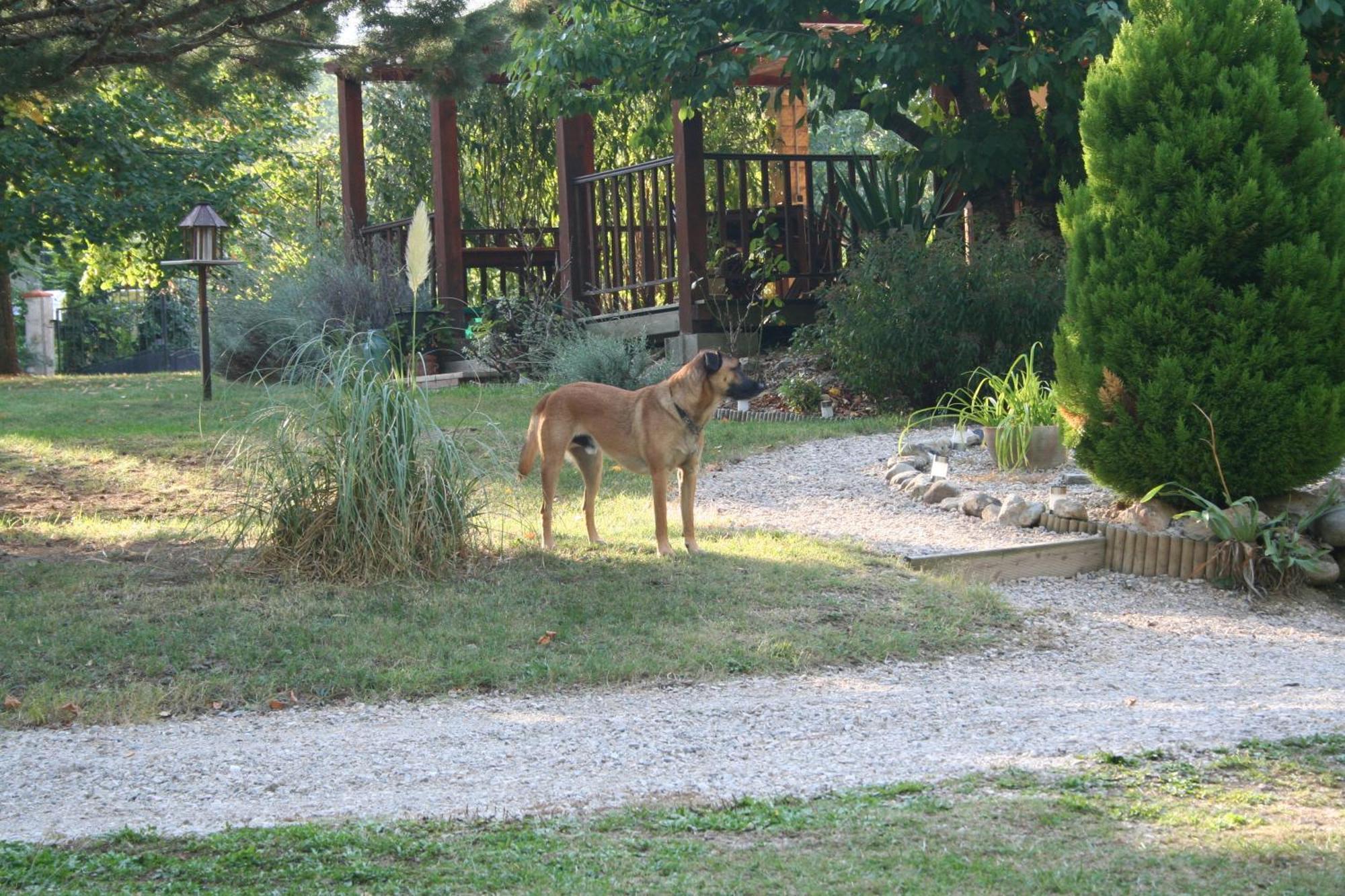 Les Eaux Tranquilles Bed and Breakfast Belvianes-et-Cavirac Buitenkant foto