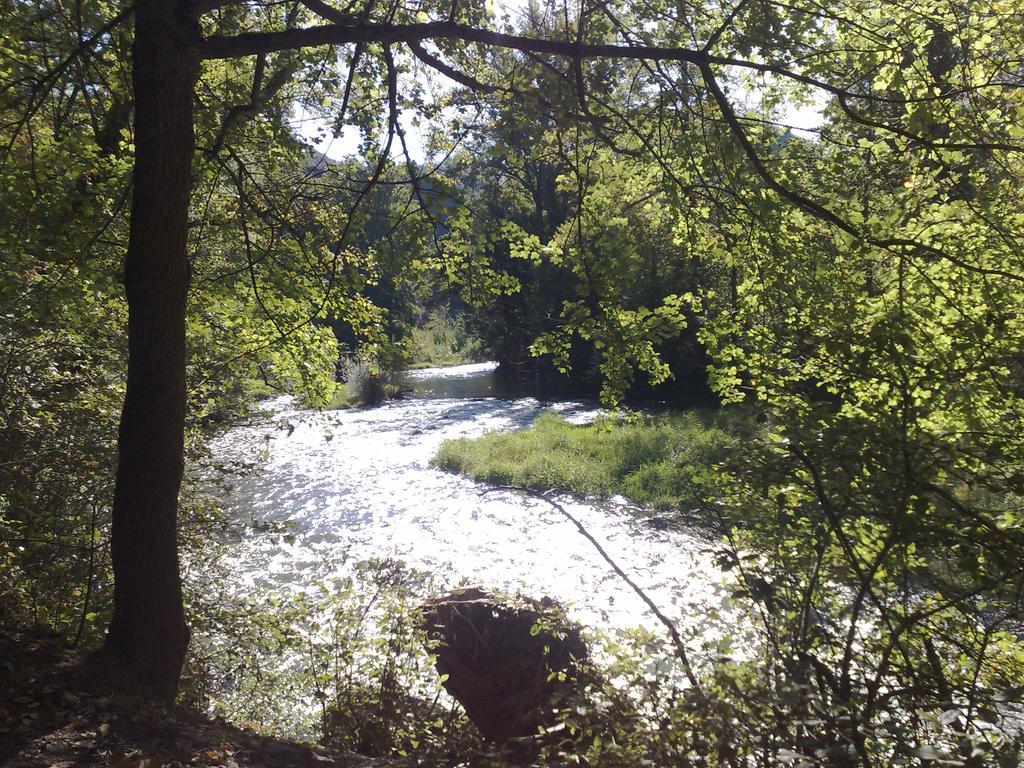 Les Eaux Tranquilles Bed and Breakfast Belvianes-et-Cavirac Buitenkant foto