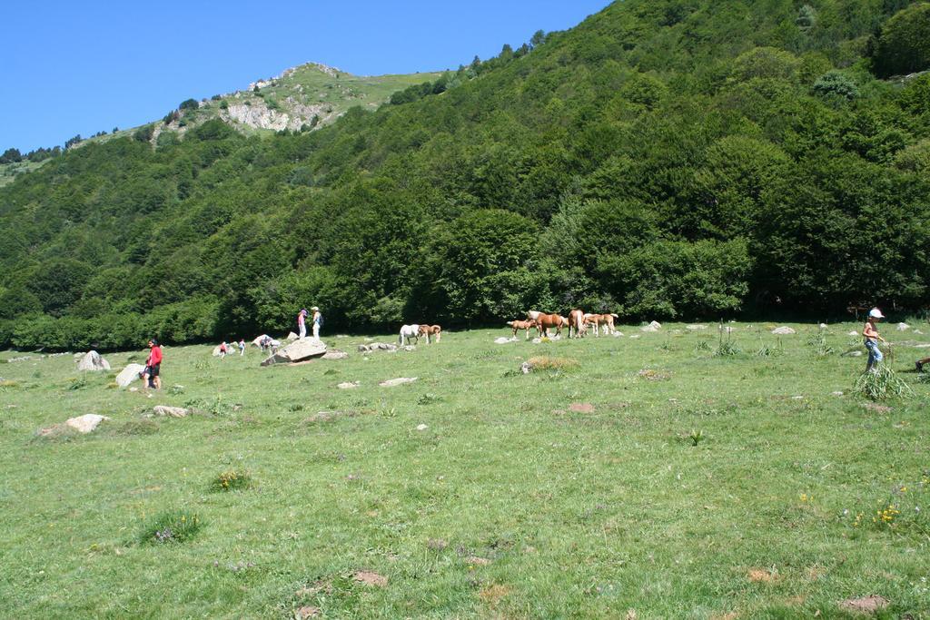 Les Eaux Tranquilles Bed and Breakfast Belvianes-et-Cavirac Buitenkant foto